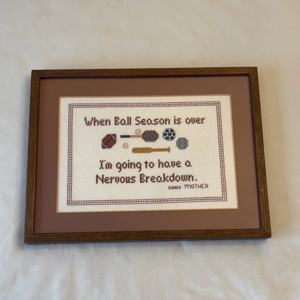 Adorable Framed Sports Quote Cross-Stitch Wall Art